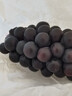 云南夏黑葡萄无籽黑提子黑加仑巨峰孕妇当应季新鲜水果现摘当季 云南建水夏黑葡萄2斤 实拍图