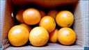 赣南脐橙江西甜橙子新鲜现摘水果精品大果礼盒送礼京东快递产地发 10斤精品果（80mm） 实拍图