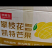 京鲜生 攀枝花凯特芒果 净重9斤 单果500g+ 生鲜水果 源头直发 实拍图