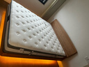 芝华仕（CHEERS）乳胶床垫独立弹簧软硬席梦思经典款明星垫D026升级1.8m[京仓闪发] 实拍图