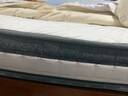 舒达（serta）乳胶弹簧床垫专柜带标发货 舒达犇腾-铂金床垫 25CM厚度可定制 1500mm*2000mm 实拍图