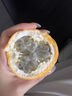 千果娘娘新鲜云南西双版纳热情果黄金百香果纯甜孕妇水果哥伦比亚爱情大果 大果【单果70-90g】 1斤散装 实拍图