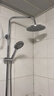 莱尔诗丹（Larsd）明装淋浴花洒套装 银色明管花洒全套铜主体淋浴龙头混水阀LD5816  实拍图