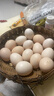 芮瑞 农家散养新鲜现捡鸡蛋笨鸡蛋谷物柴鸡蛋初生蛋 单枚40±5g 15枚 实拍图