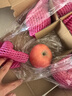 京鲜生 山东栖霞红富士苹果精品12粒 单果190g-240g  水果礼盒 实拍图
