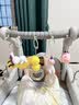 飒望【德国】婴儿玩具0-3-6个月宝宝学步车婴幼儿新生儿车百天见面礼 【升级摇铃】健身架+学步车【4合一电池版】 婴儿早教益智玩具脚踩钢琴 新生儿见面礼周岁礼 实拍图