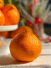 四叔公果蔬四川春见耙耙柑【闪送】粑粑柑橘子桔子丑橘新鲜应季水果礼盒礼品 【黄金酸甜比】15A老树果王｜单果85-100mm 【限定·尊享礼盒】6枚装｜颗颗臻选 实拍图