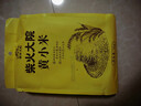 柴火大院 黄小米 1kg 早餐小米粥 小黄米 五谷杂粮 粗粮 粥米 2斤 实拍图