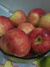 2025新果正宗大凉山丑苹果冰糖心盐源红富士当季孕妇新鲜水果生鲜 5斤 【中大果】75-80mm 实拍图