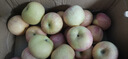 阿克苏苹果新疆阿克苏冰糖心苹果新鲜时令水果礼盒红富士丑苹果源头直发包邮 10斤 一级果75-90mm净重8.5-9斤 实拍图