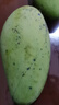 甜萌果蔬芒果金煌芒水仙芒果青皮大芒果甜心芒海南新鲜水果次日孕妇达送礼 王者级｜单果450g+【老树果】 5斤装【80%选择|超值推荐】净4.5斤 实拍图