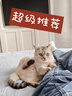 海尔（Haier）国家补贴20%双胆扁桶电热水器80升 BK3PRO 小魔盒鲜活水 净肤洗AI智慧 3300W速热免清洗镁棒免更换 实拍图