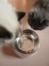 HELLOJOY不锈钢宠物食盆狗碗猫狗碗食盆水粮两用宠物碗喂食器 白色 实拍图