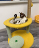 喵仙儿猫爬架太空舱猫窝多层跳台剑麻猫抓柱耐磨猫抓板仙人掌猫玩具 实拍图