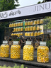 喜碧（Scybe）泡酒容器空瓶泡酒专用瓶青梅酒果汁存储瓶密封酒瓶温顿500ml 2只 实拍图