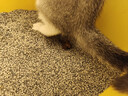 沃趣 纳基矿砂无尘矿物质结团快无尘小颗粒矿土吸水猫咪用品18斤 实拍图
