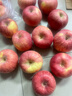 京鲜生 洛川苹果陕西红富士净重8.5斤 单果80-85mm 新鲜水果源头直发 实拍图