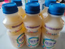 乳酸菌益生菌风味饮料乳酸菌饮品340ml/瓶早餐酸奶好喝 益生菌 340ml* 12 实拍图