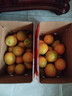 江西赣南早脐橙整箱当季新鲜早橙子榨汁水果礼盒皮薄多汁节日团购 【60%人选】净重18斤单个200g+ 实拍图