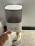 霍曼（Homerun）Real智能自动喂食器猫粮狗粮定时猫咪自动投食器（配陶瓷碗） 实拍图
