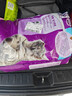 伟嘉猫粮成猫全价猫粮亮毛均衡营养10kg海洋鱼味夹心粮【原料透明】 实拍图