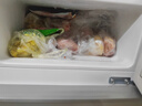新飞（Frestec）小冰箱 冰箱小型双开门 迷你双门家用宿舍租房冷藏冷冻电冰箱节能省电 38L银【店铺销冠+租房必备】 实拍图