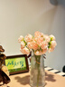 京东鲜花27头牡丹仿真花假花摆设客厅装饰花花艺摆件餐桌绢花花束拍照摄影 实拍图