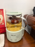 小熊（Bear）迷你养生壶养生杯 电炖杯电热杯恒温花茶壶烧水壶办公室杯子0.4L全玻璃杯体YSH-F04E1 实拍图