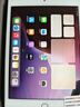 Apple苹果iPad mini5/6 iPadair3/4 2021款iPadPro二手平板电脑 iPad mini5 256G WIFI版 99成新 实拍图