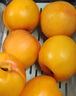 桃小蒙沂蒙山黄桃 新鲜水果蒙阴黄金油桃 生鲜当季鲜果桃子 4.5斤 实拍图