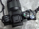 奥林巴斯（OLYMPUS）E-M10 MarkIV EM10四代 微单相机 数码相机 微单套机（14-150mm F4.0-5.6 II）黑色 实拍图