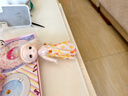 奥智嘉梦幻换装娃娃别墅卧室手提包女孩公主洋娃娃过家家女孩生日礼物 实拍图