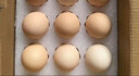 1号会员店可生食鸡蛋30枚净重3.6斤精选大码蛋礼盒装 源头直发 实拍图