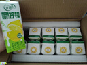 伊利优酸乳嚼柠檬轻乳果汁饮品10盒 牛奶饮品椰果果粒 220g*10盒/箱 实拍图
