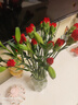 钟爱云南昆明基地直发鲜切花家庭水养插花花束生活鲜花玫瑰康乃馨 随机20支康乃馨+随机颜色百合5朵 实拍图
