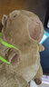 贝尚星 卡皮巴拉玩偶生日礼物女生毛绒玩具男公仔布娃娃背包乌龟23cm 实拍图