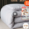 南极人被子 春秋四季被单人学生宿舍被芯棉被空调被5斤 150*200cm灰色  实拍图