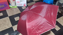 【已售100万】手动UV折叠黑胶防晒防紫外线遮阳晴雨两用伞 【爆款雨伞】7骨内层银胶纯色随机 实拍图