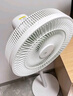 美的（Midea）【暴风循环】空气循环扇大风量摇头电风扇家用台式落地扇轻音卧室节能小风扇柔风轻羽扇 FGA24TQ 实拍图