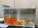 YEE小鱼缸过滤器循环水泵外置瀑布净水壁挂滴流盒过滤制氧一体机6w 实拍图