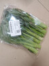 宁夏菜心约250g 实拍图