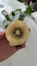 佳沛（zespri）新西兰  阳光金奇异果10粒礼盒巨大果单果约144-175g 水果 猕猴桃 实拍图