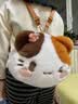 贝尚星三花猫毛绒玩具生日玩偶小猫公仔大容量斜挎包双肩包女孩生日礼物 实拍图