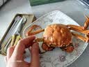 【活蟹】阳澄佳缘大闸蟹 现货鲜活大螃蟹公母蟹 海鲜水产生鲜礼盒 全母  4.0-4.3两 八只  礼盒装 实拍图