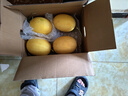 京鲜生 海南黄金哈密瓜 3-4粒  净重12斤 单果3斤起 生鲜水果礼盒 实拍图
