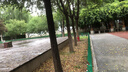 碧丽珠 皮革护理剂330ml 皮具护理剂清洁剂   去污清洁免水洗 超市同款 实拍图