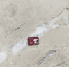 banq&JOY联名款 128GB TF（MicroSD）存储卡U3 C10 A1 V30 4K 高速款行车记录仪&监控摄像头手机内存卡 实拍图