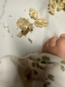 小熊（Bear）电炖锅 电炖盅 煮粥神器煲汤锅炖汤锅 BB煲婴儿煮粥锅熬粥宝宝炖盅小型1-2人辅食锅E15K2 1.5L 实拍图