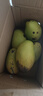 【双十一热卖】玉芒水果芒果新鲜上市 带箱5斤 中大果【单果200-300g】 实拍图