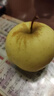京觅 辽宁大连黄元帅苹果2.7斤单果75-80mm 黄金帅粉面水果源头直发 实拍图